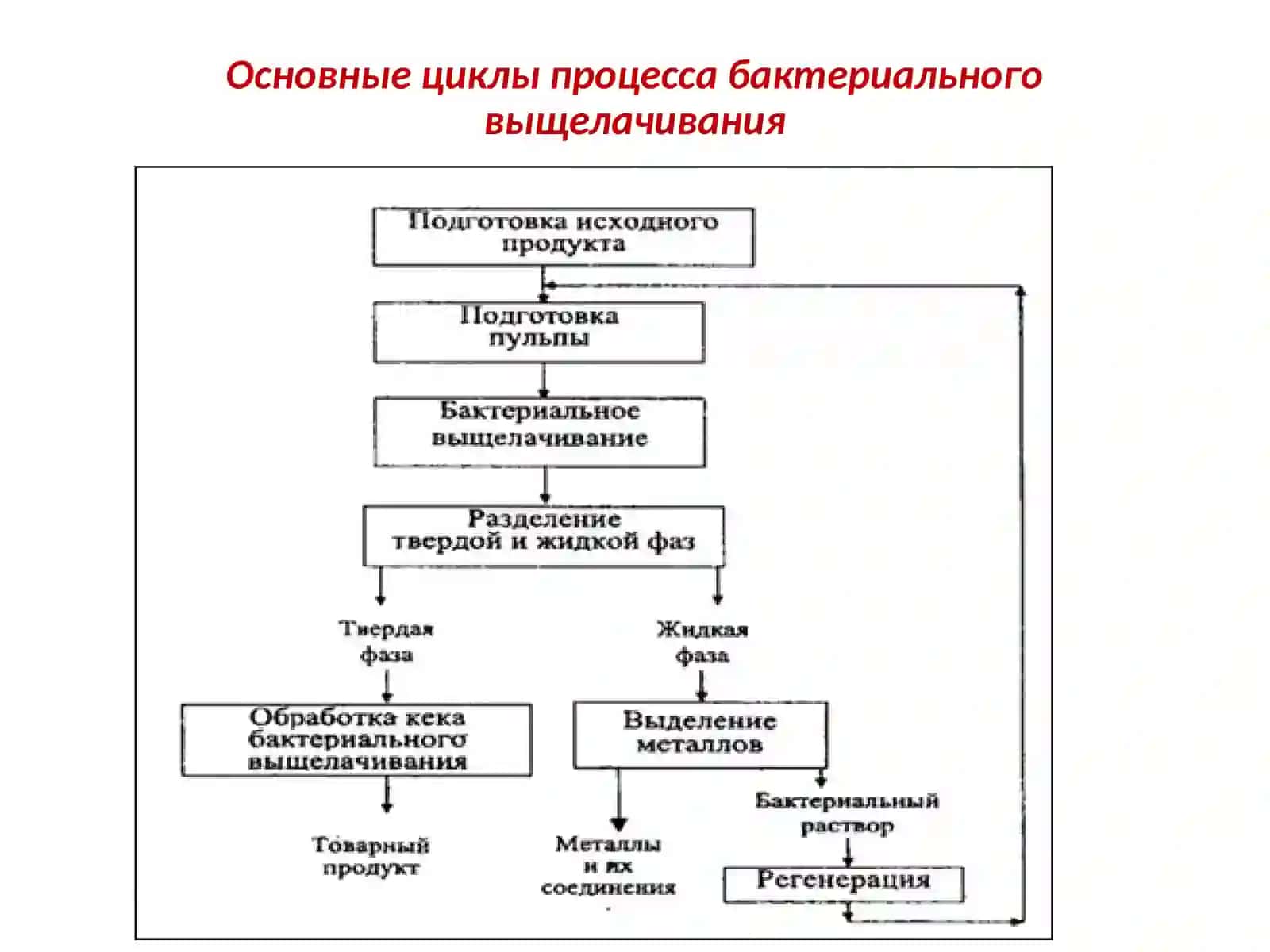 Технология чанового бактериального выщелачивания упорных золотомышьяковых концентратов 3