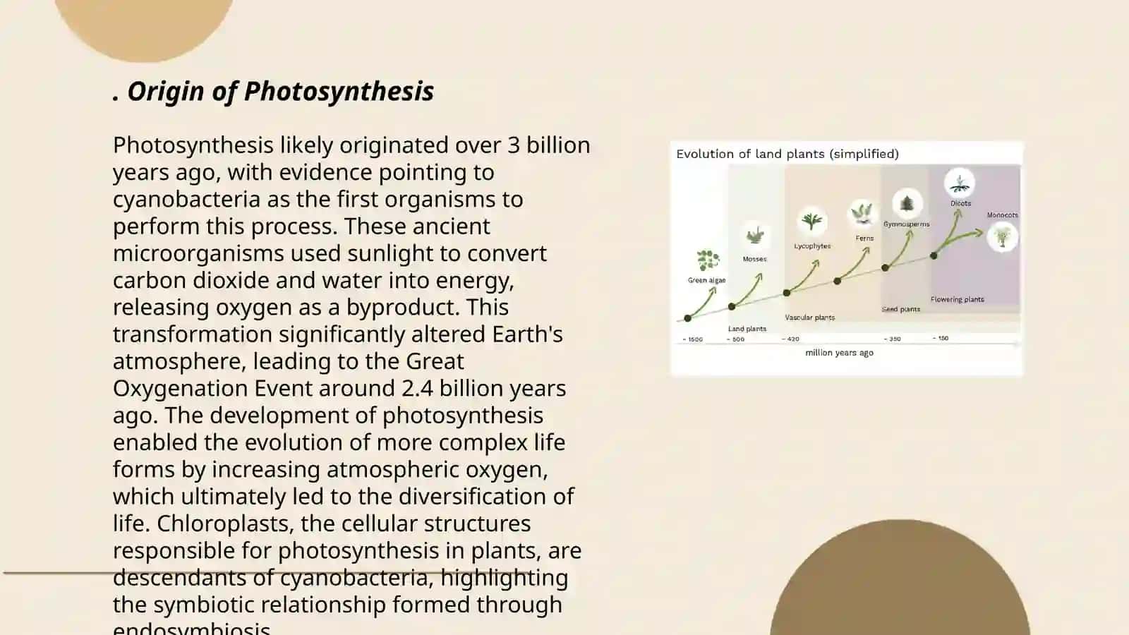 The evolution of plants 3