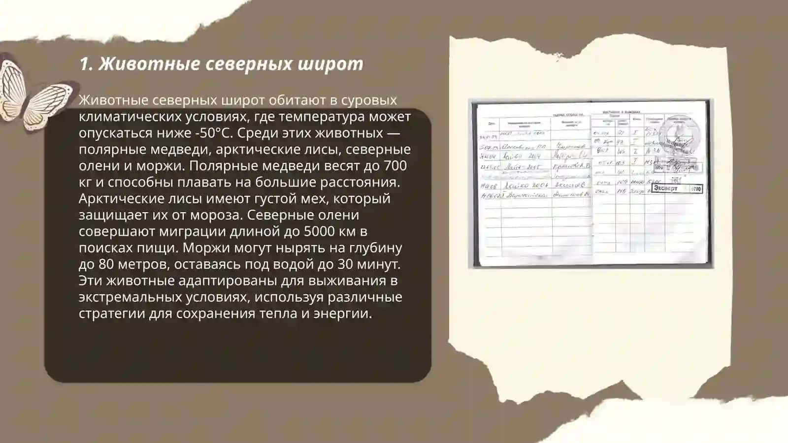 Животные северных широт 3