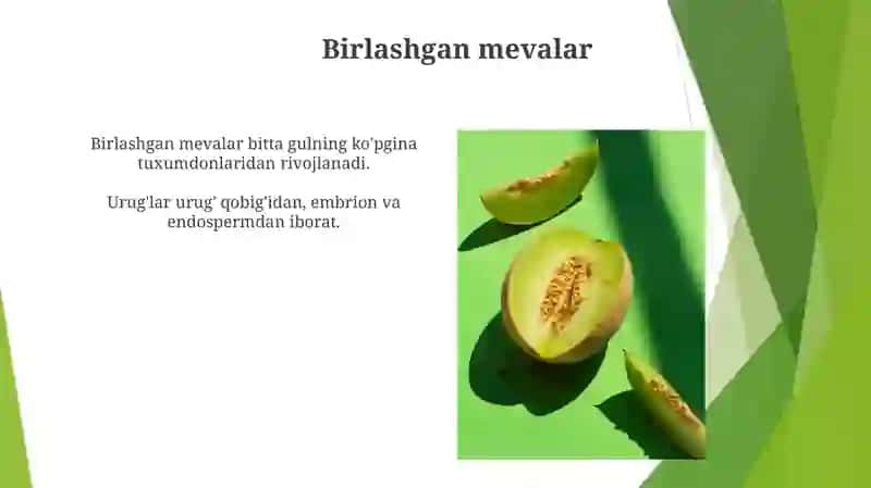 Uruğ va mevaning tuzilishi 3