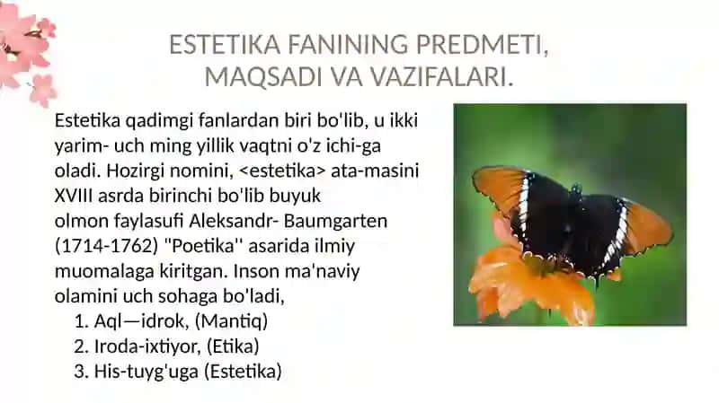 Nafosatfalsafasi(Estetika) 3