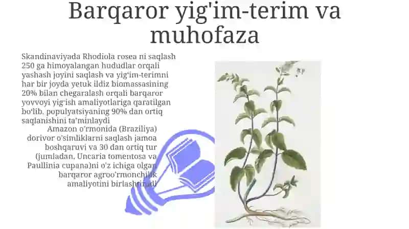 Barqaror yig'im-terim va muhofaza 3