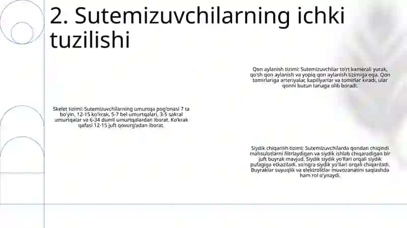 Sutemizuvchilarning Tashqi Va Ichki Tuzilishi 3