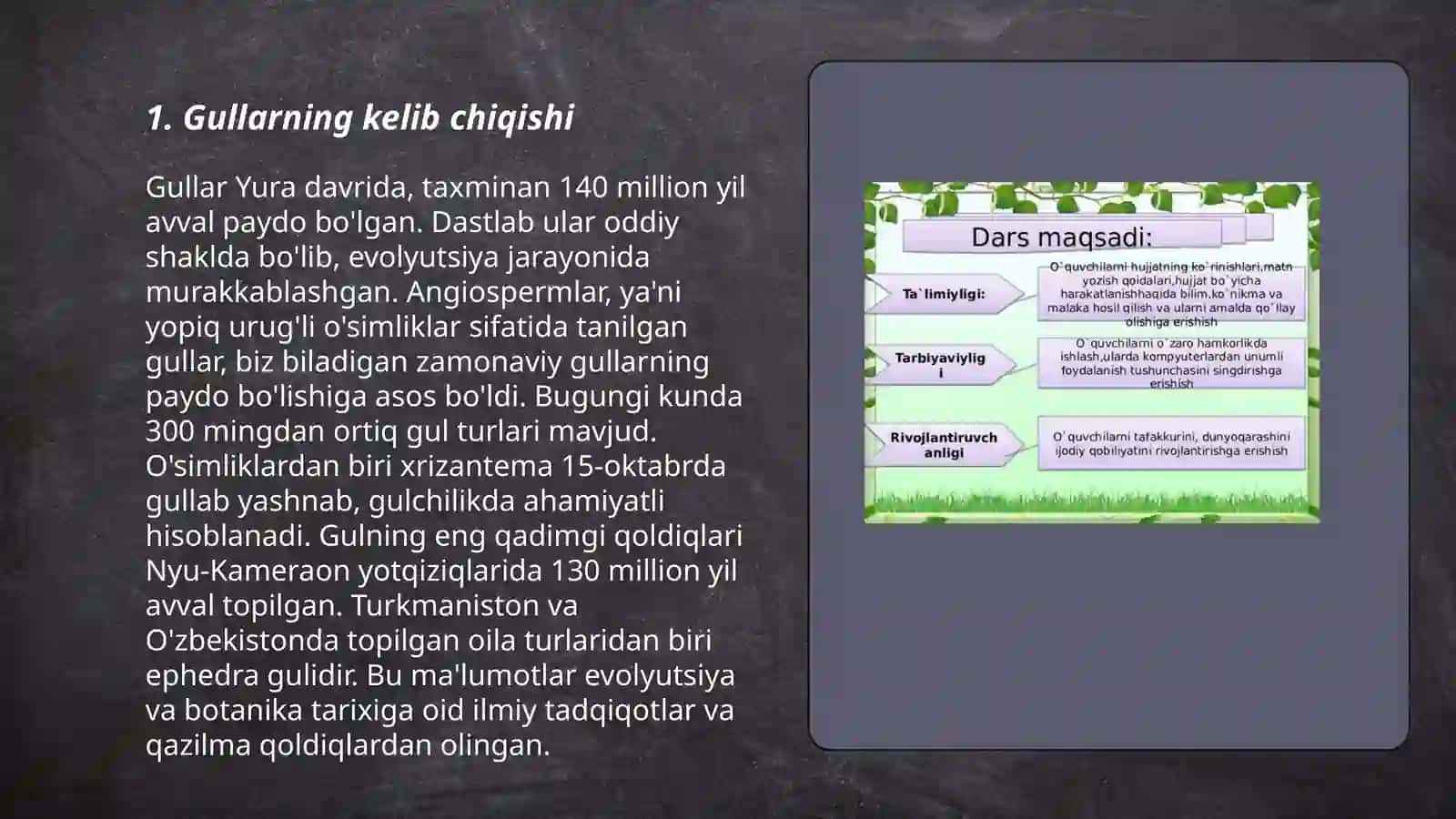 Tòpgullar Ularning tuzilishi va tiplari 3
