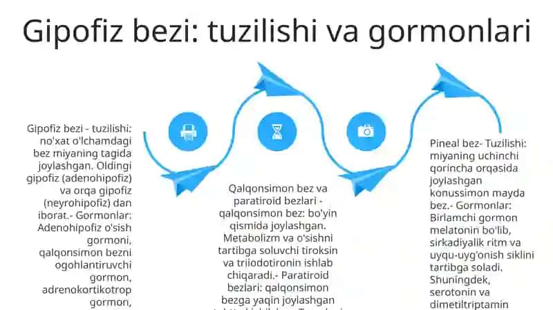 Gipofiz, Epifiz, Qalqonsimon Va Qalqonoldi Bezlari, Me'Da Osti Va Ayrisimon Bezlarning Tuzilishi Va Fiziologigasi 3