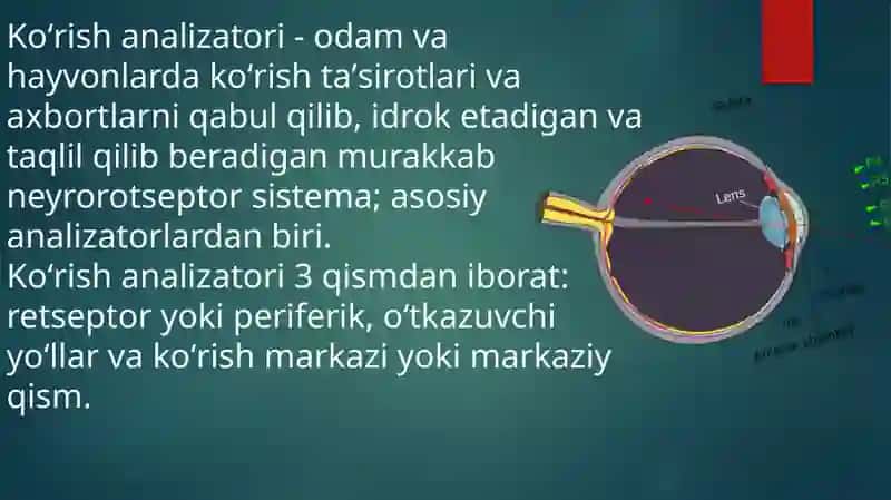 Ko'ruvanalizatori 3