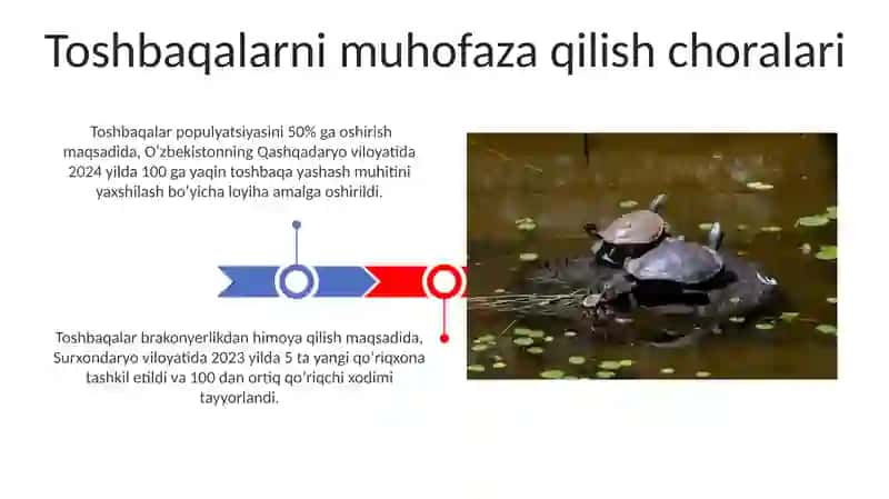 Toshbaqalar turkumi vakillarining ekologiyasi 3