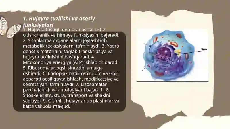 Nishonboyeva Muxtasar Agrokimyo va tuproqshunoslik 1-81guruh 3