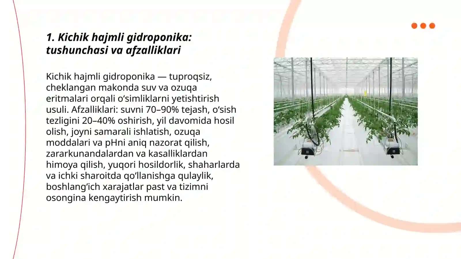 Kichik hajmli gidroponikani qoʻllash va koʻchat yetishtirish xususiyatlari 3