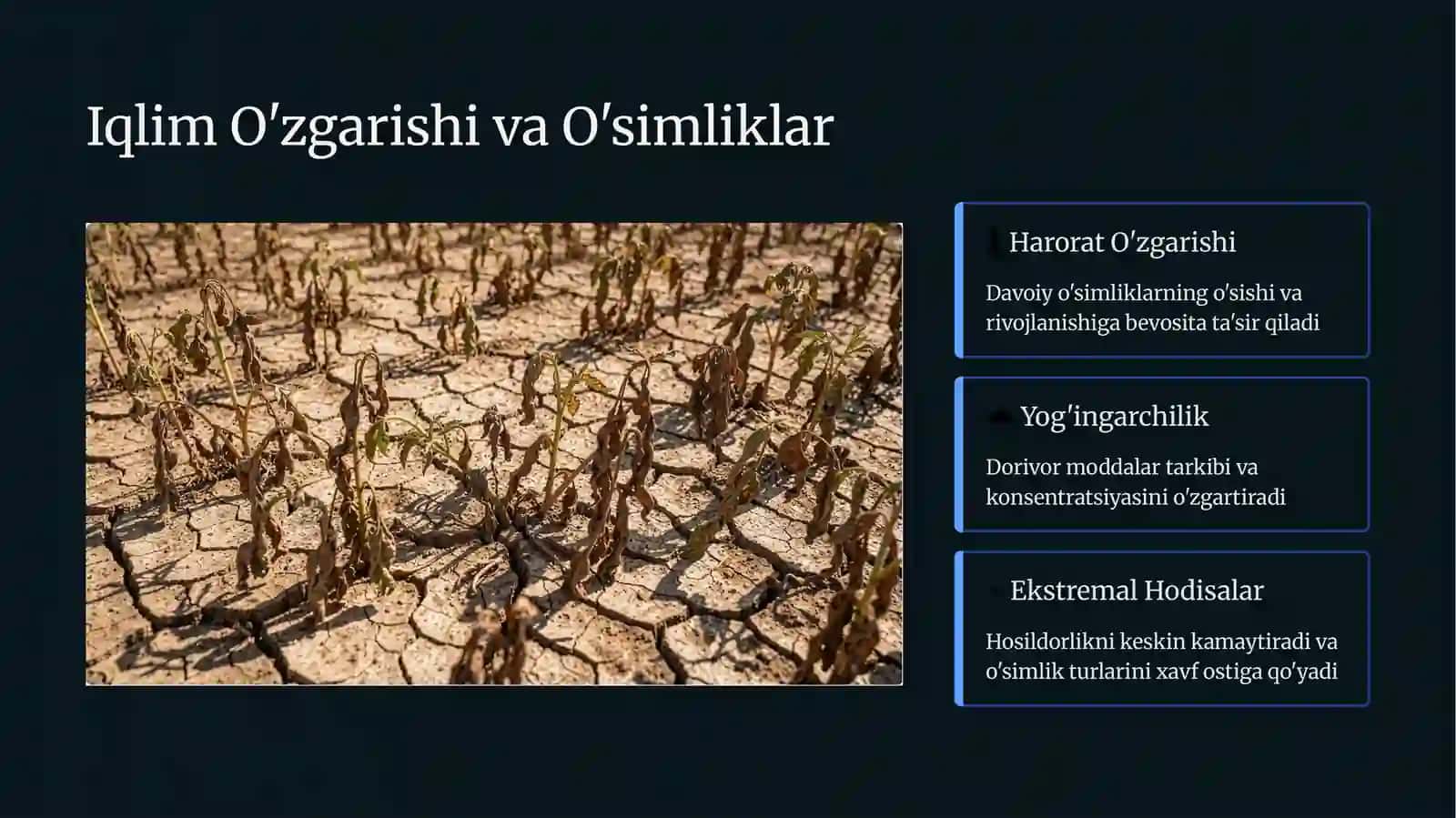 Dorivor O'simliklarning Ahamiyati 3