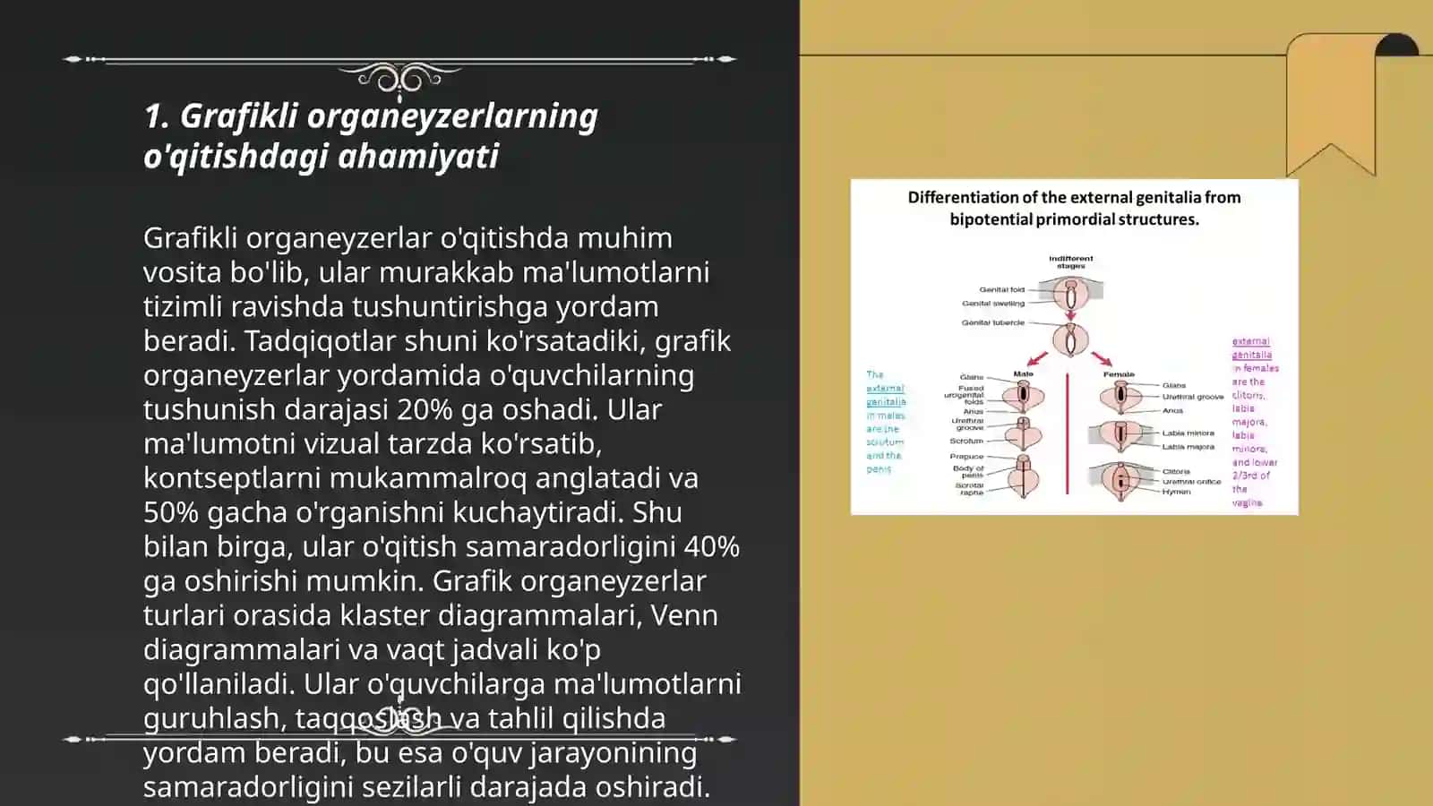 Oʻqitishning grafikli organeyzerlari 3