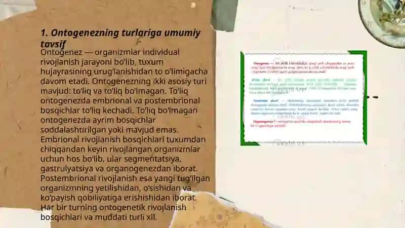 Ontogenez. Embrional taraqqiyotning xususiyatlari. Postnatal ontogenezning asosiy davrlari. Salaydinova Vasila Hamdam qizi 3