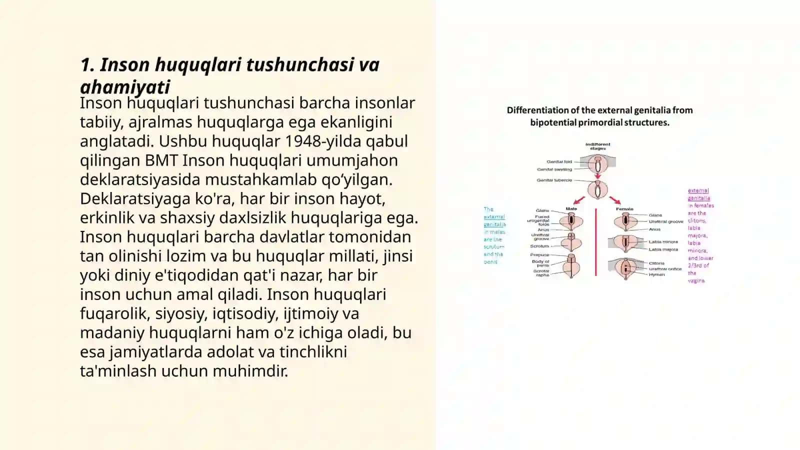 O'zbekistonda Inson Huquqlari Himoyasining Kafolatlari Mexanizmi 3