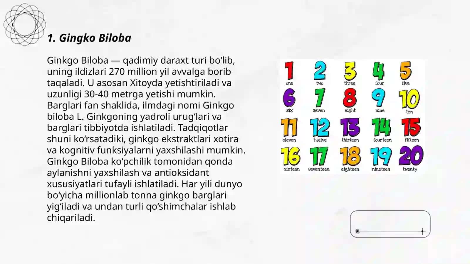 Gingko Biloba 3