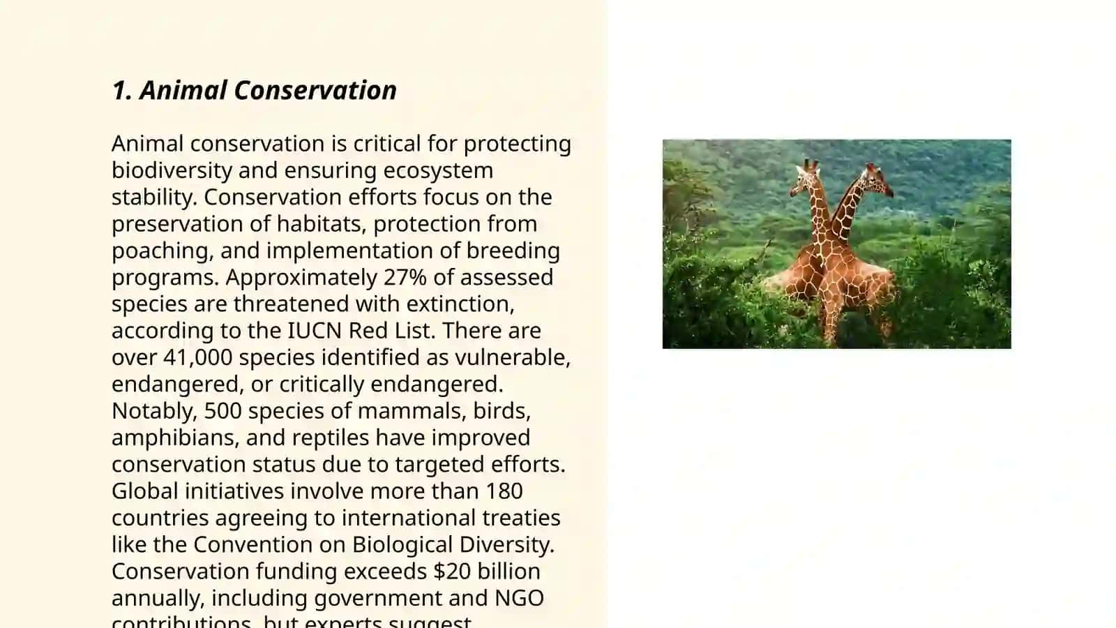 Animals Conservation 3