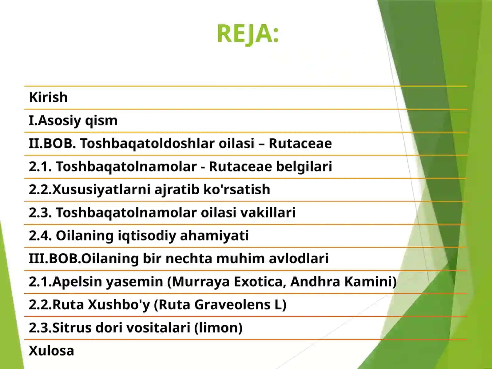 Toshbaqatolnamolar oilasi 3