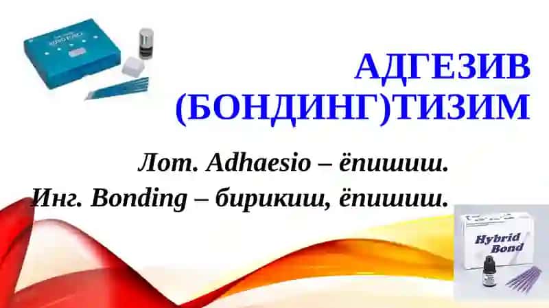 Адгезив тизим 3