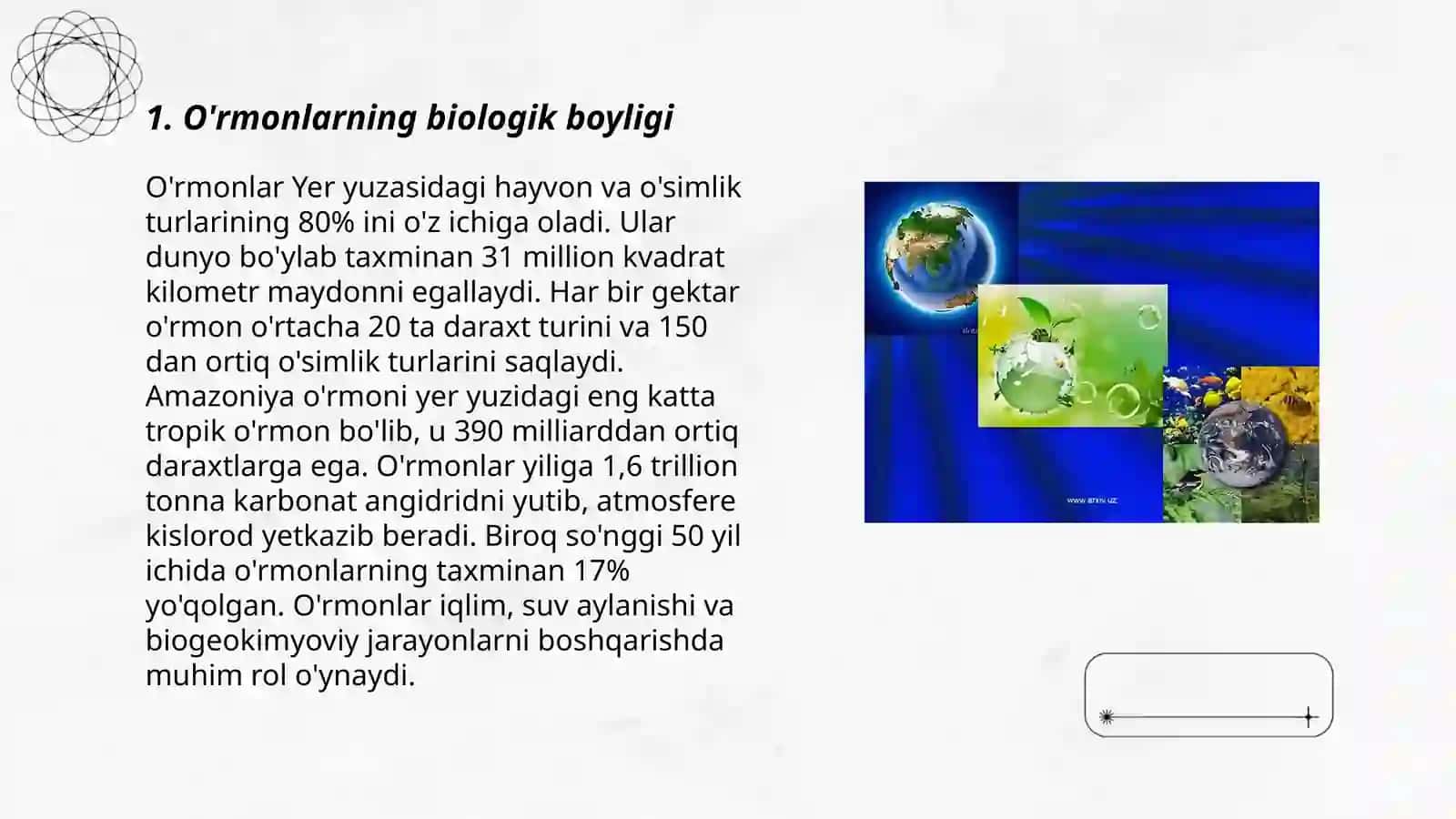 O'rmonlar va ularning boyliklarii 3