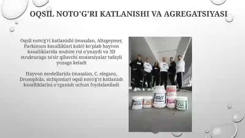 Hayvonlar organizmi oqsil almashinuvi buzilishi 3