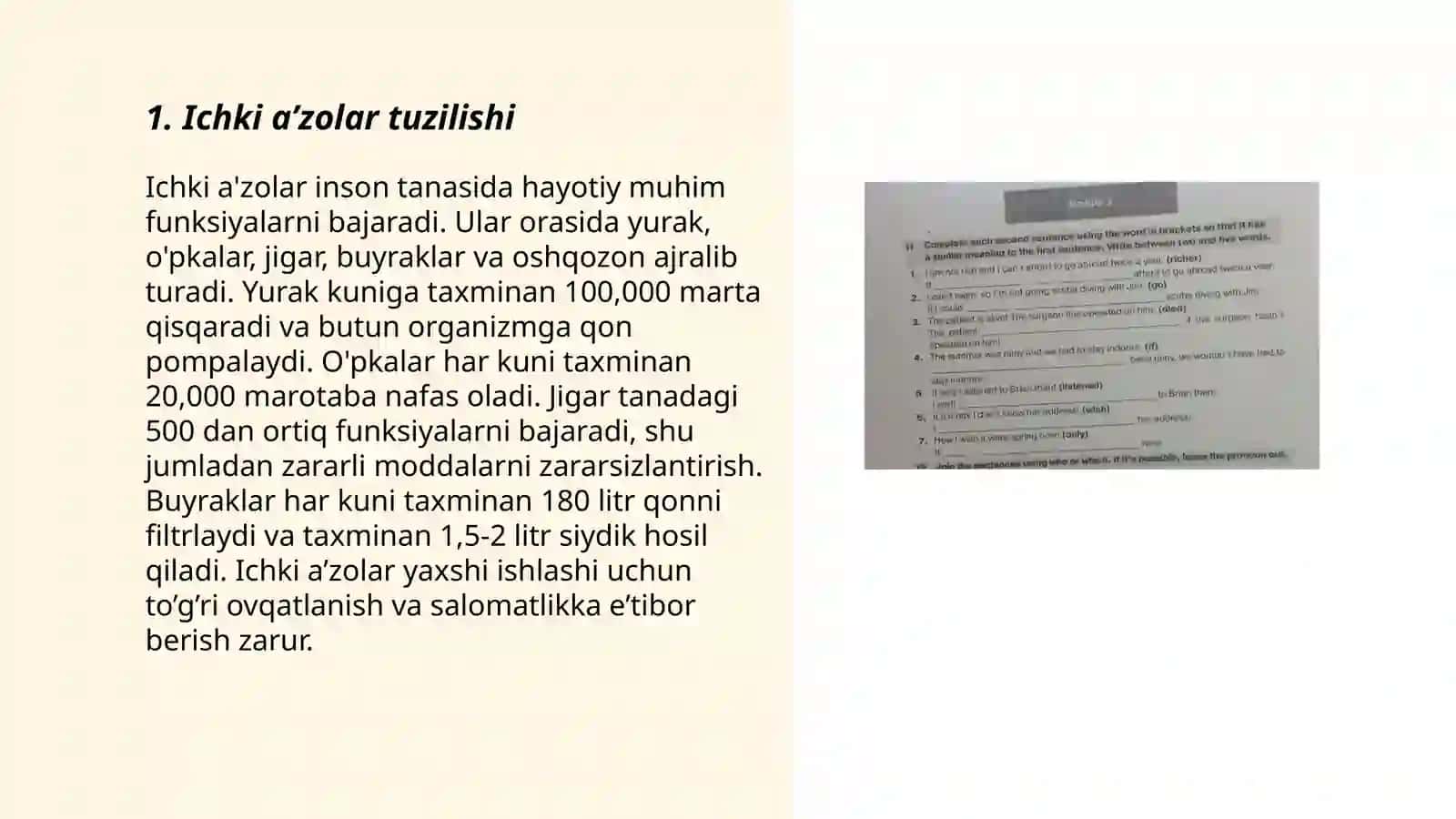 Ichki a'zolar haqida tushuncha parenximatov va naysimon a'zolar 3