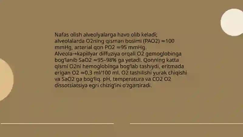 Nafas olish fiziologiyasi 3