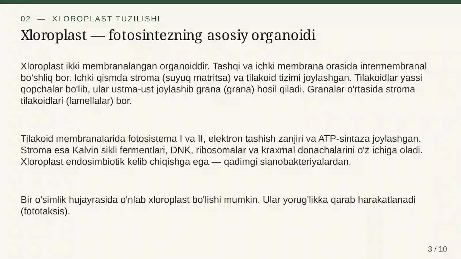 Fotosintez jarayoni va uning biologik ahamiyati 3