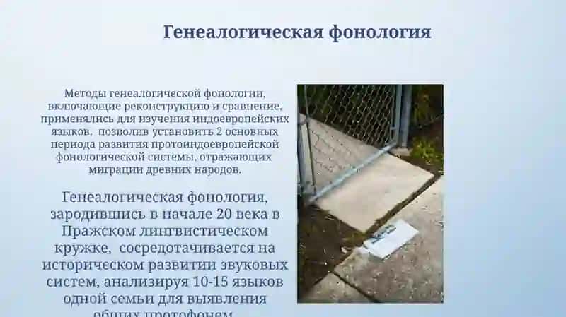 Фонология и Фонологические школы 3
