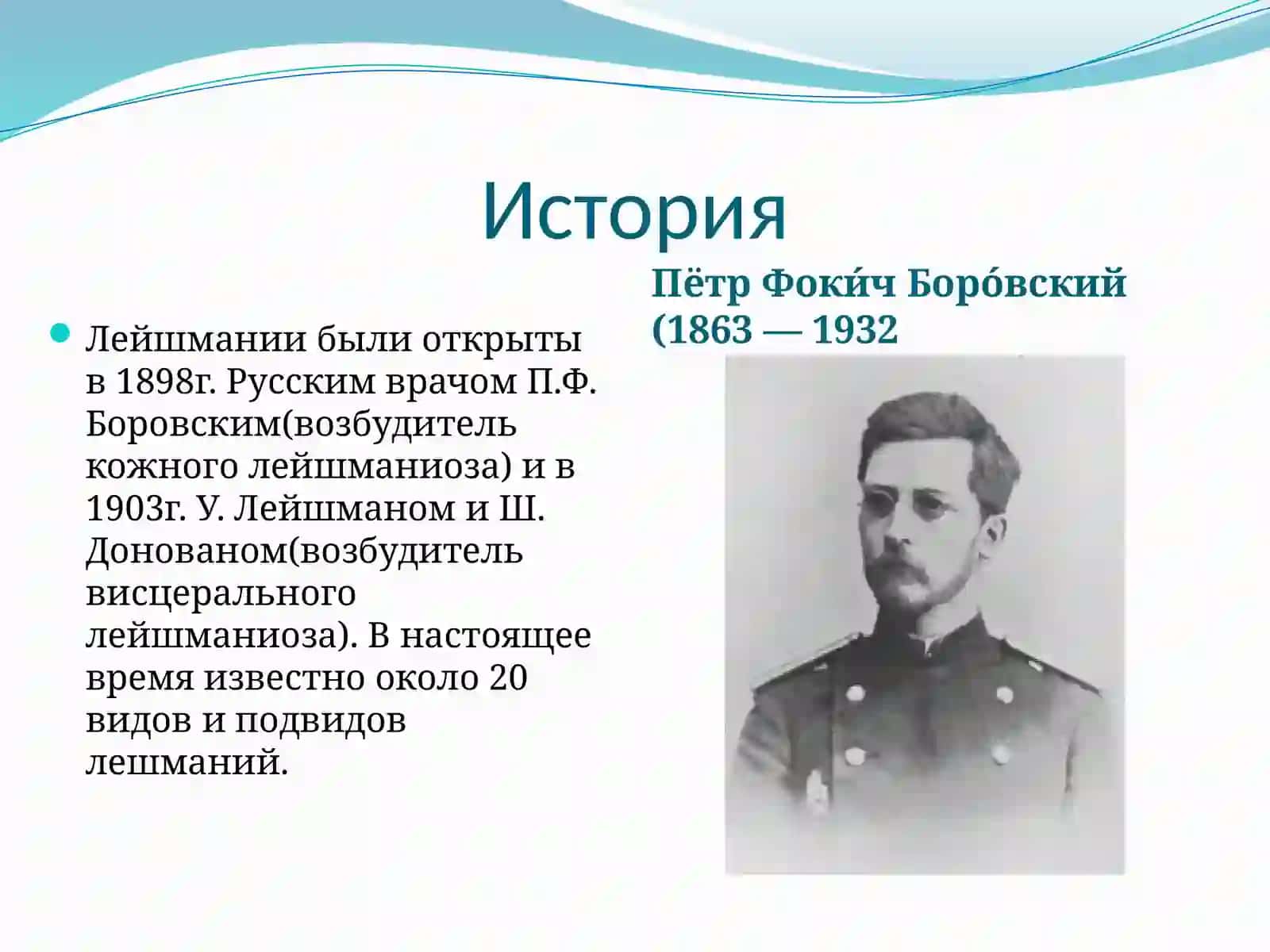 Лейшманиозы 3