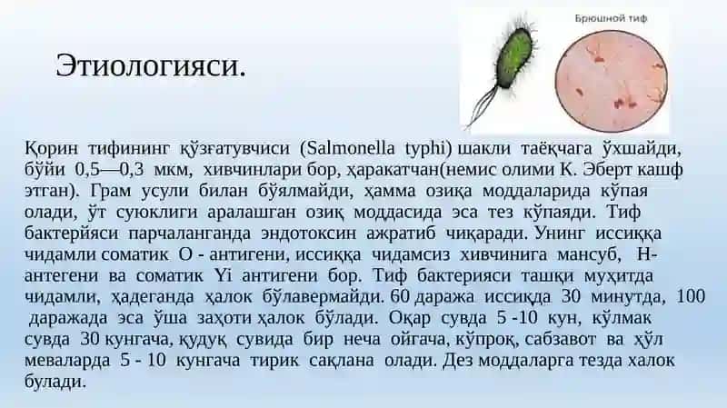 Қорин тифи 3