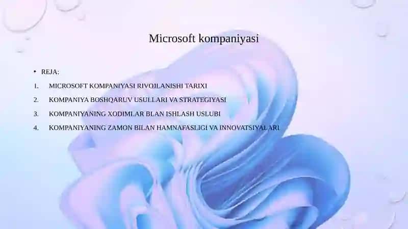 Microsoft company 3