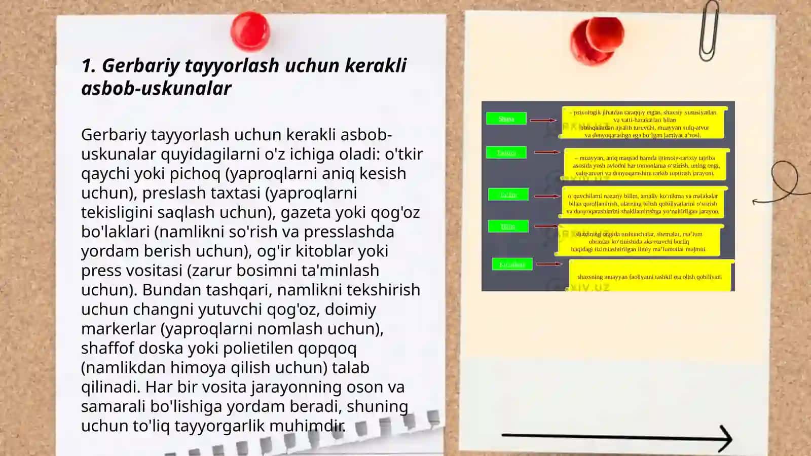 Gerbariy tayyorlash(istalgan o'simlik turidan) va tayyorlash usullari haqida ma'lumot bering 3