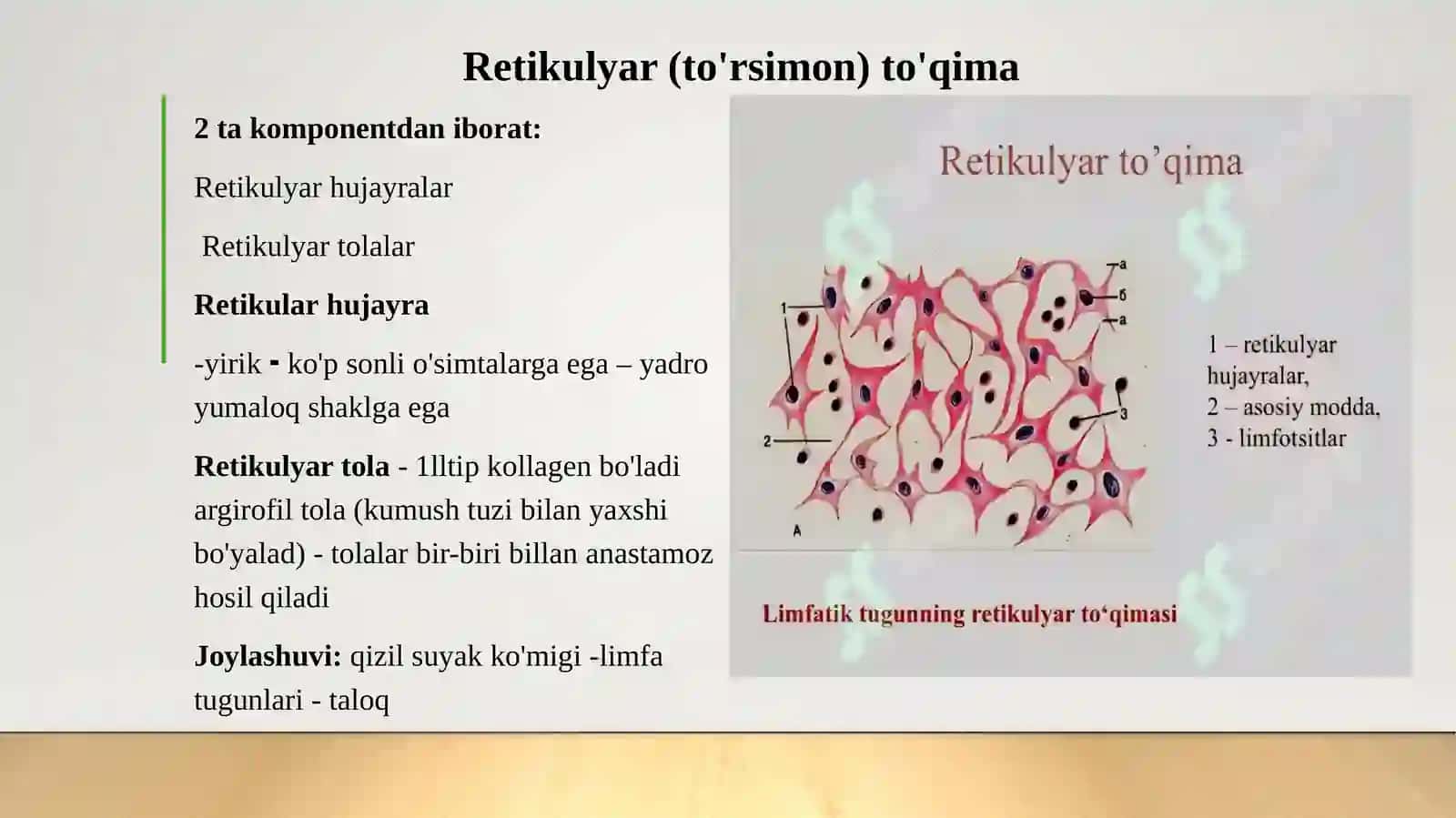 maxsus xususiyatga ega bo‘lgan biriktiruvchi to‘qimalar. Yog‘ to‘qimasi garmonlari 3