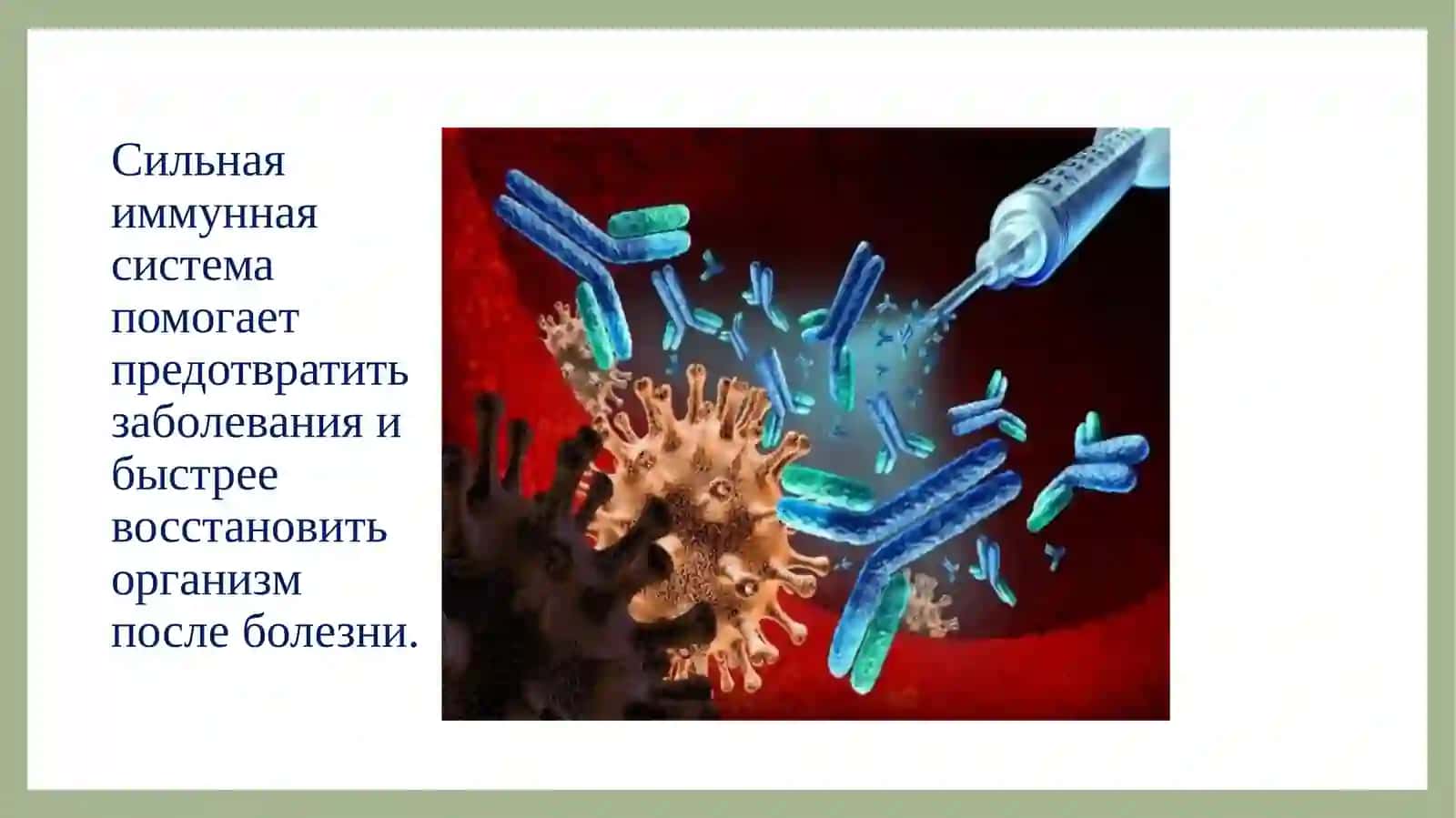 Как укрепить иммунитет 3