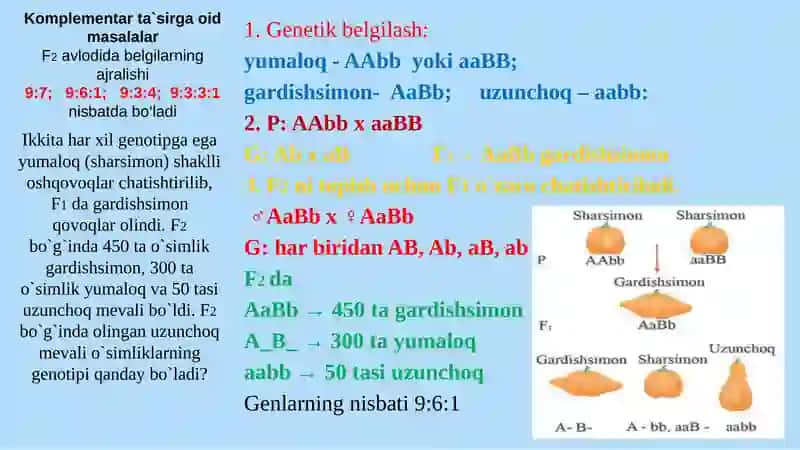 Noallel genlarning o`zaro ta`siri 3