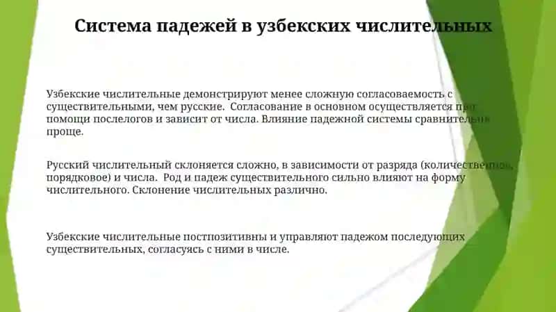 Способы образования имени числительного в русском и узбекском языках 3