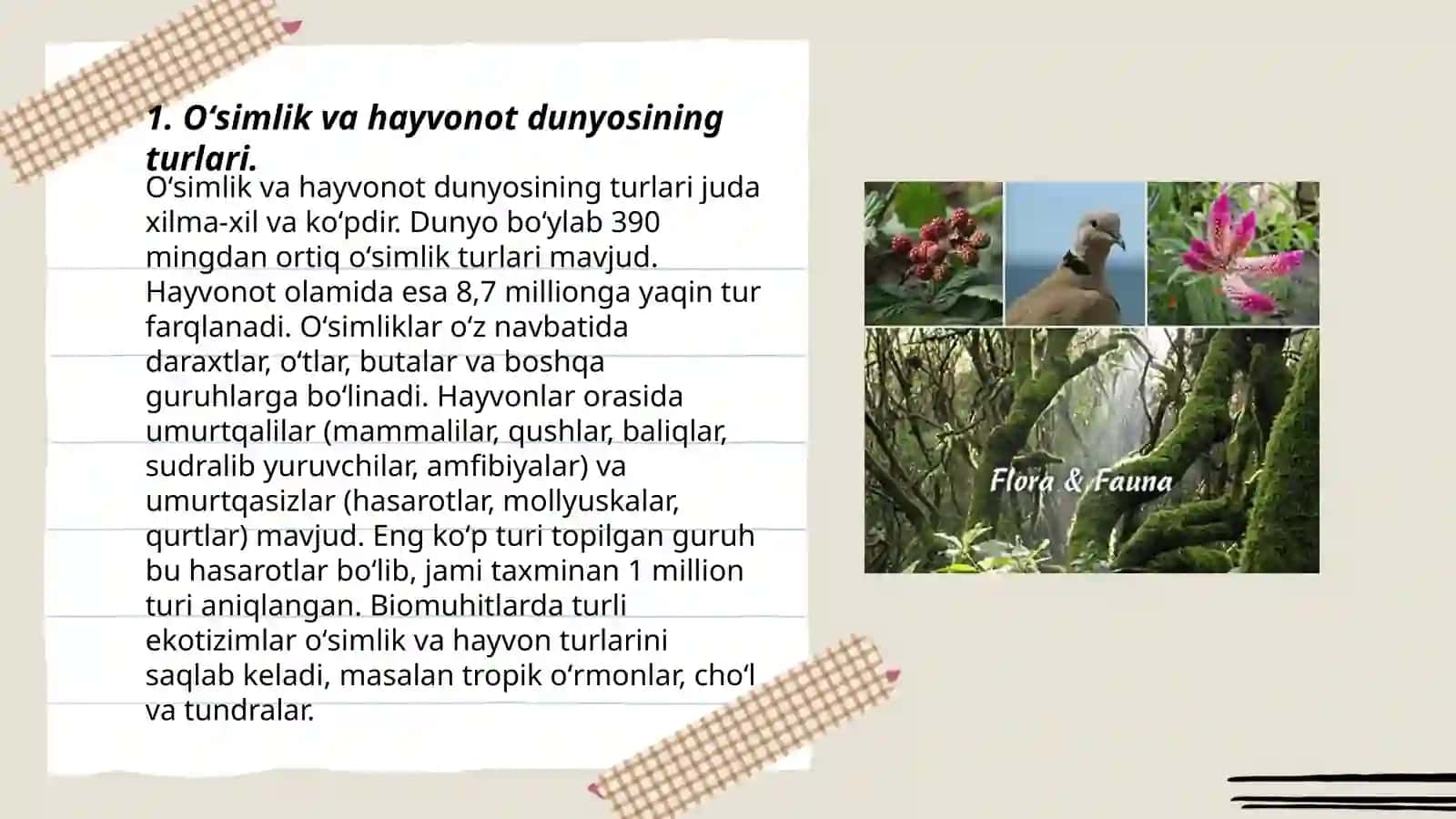 Oʻsimlik va hayvonot dunyosining bioxilma xilligi 3