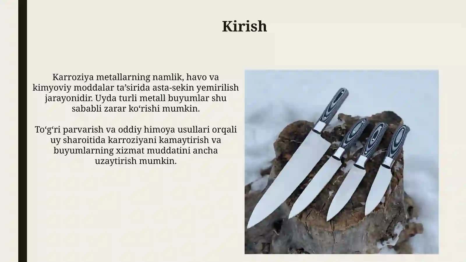 Uyda karroziyanikamaytirishyullari 3