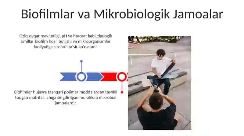 Mikroorganizmlar faoliyatiga tashqi faktorlar taʼsiri 3