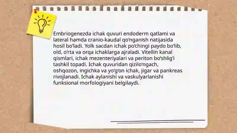 Ayirish tizimi onto-filogenezi 3