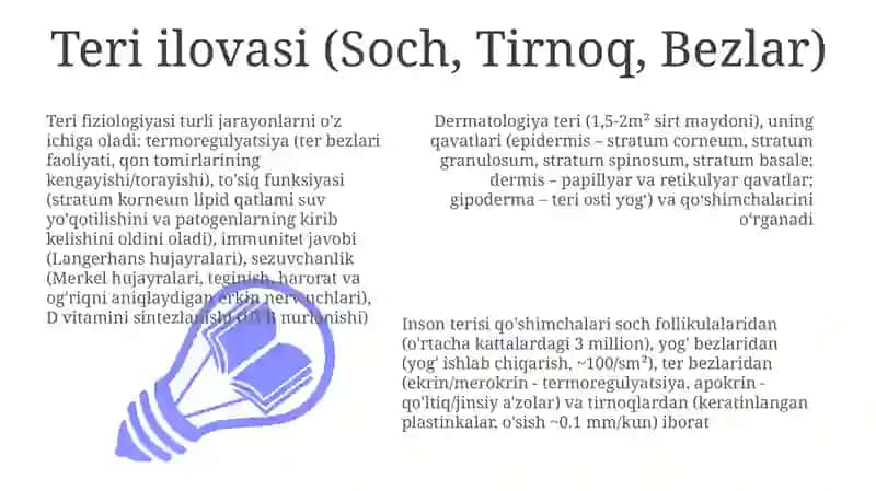 Odamterisining tuzilishi va funksiyalarini oʻrganish 3