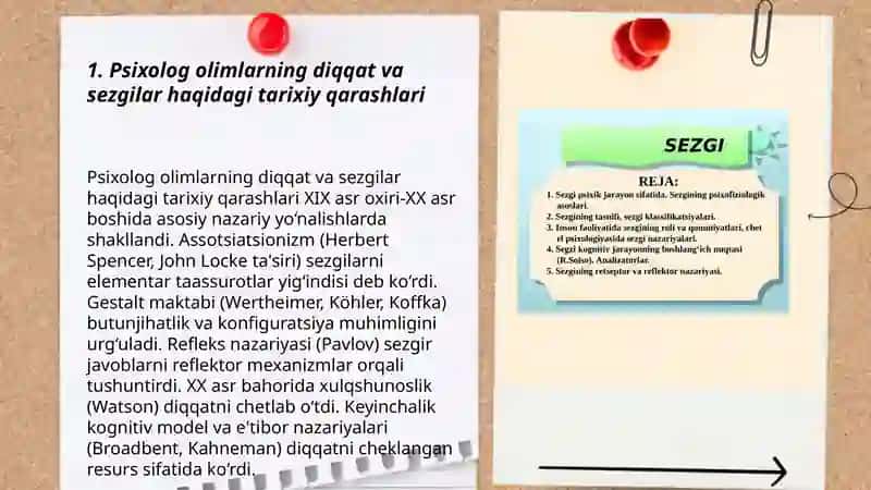 Psixolog olimlarning diqqat va sezgilar haqidagi qarashlari 3