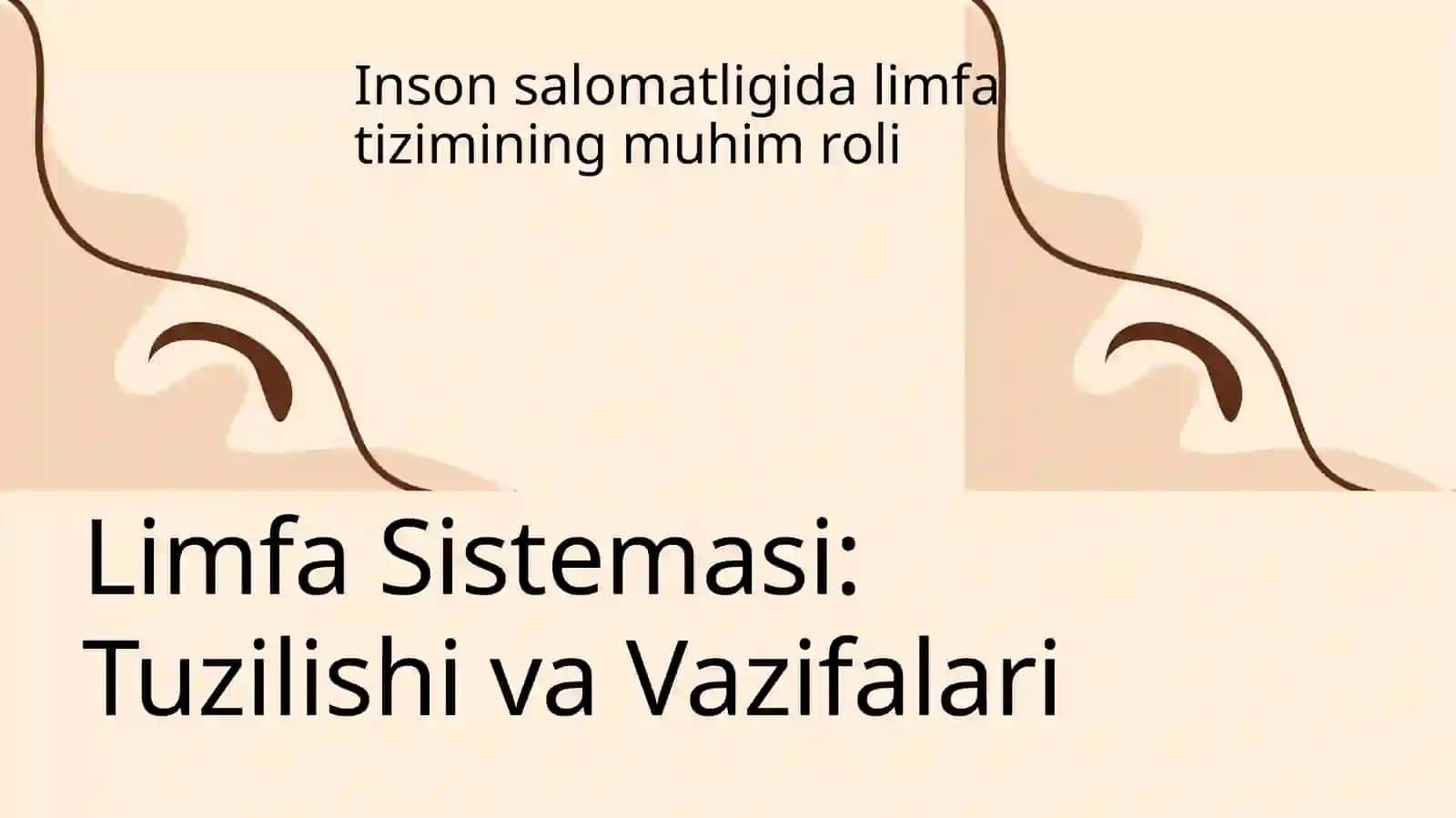 Linfa sistemasi 3