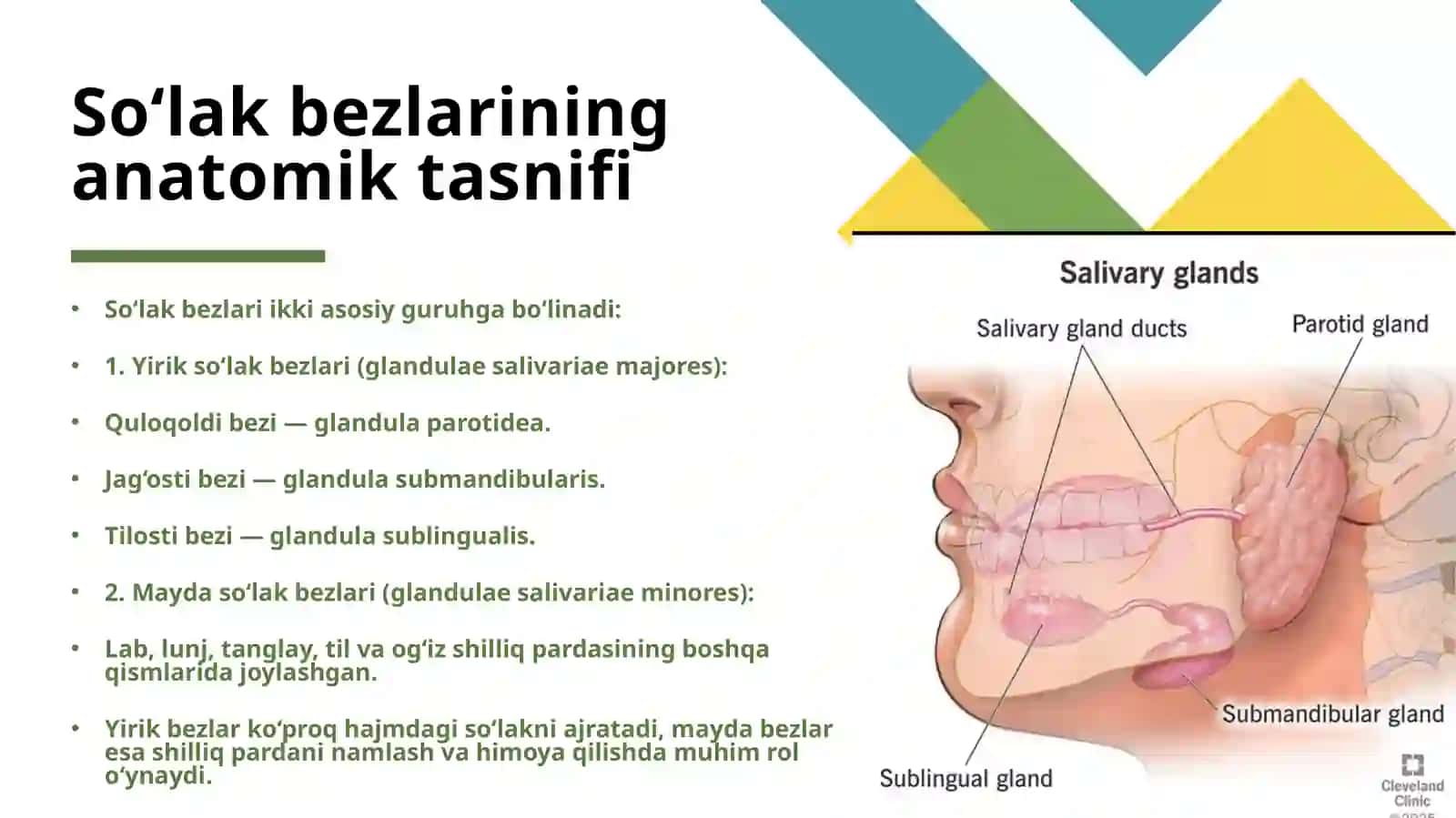 So‘lak tarkibi va uning ahamiyati 3