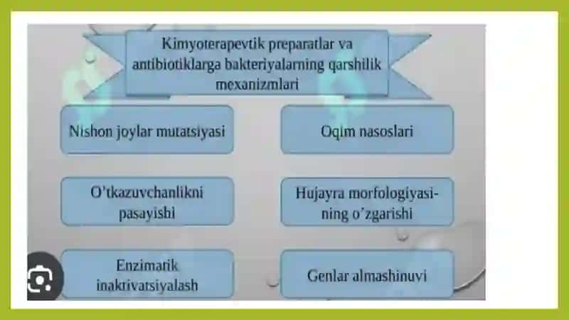 Kimyoterapevtik preparatlar va antibiotiklarga bakteriyalarning chidamli shtamlarining shakillanish mexanizmlari 3