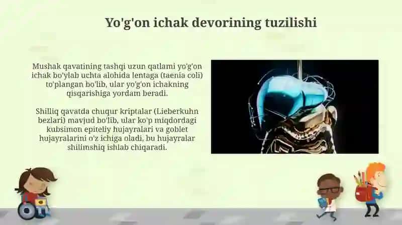 Yo'g'on ichak, jigar, meda osti va otqopigistalogiyasi 3