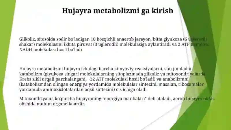 Hujayrada moddalar almashinuvi 3