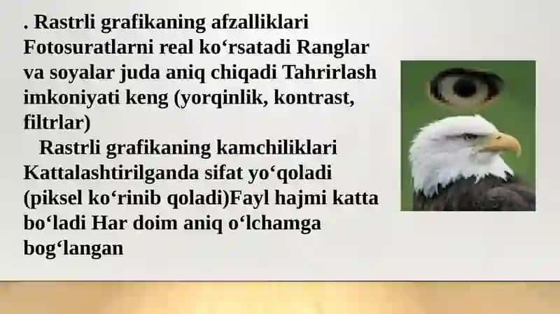 Rastirli va vektorli grafika formatlari 3