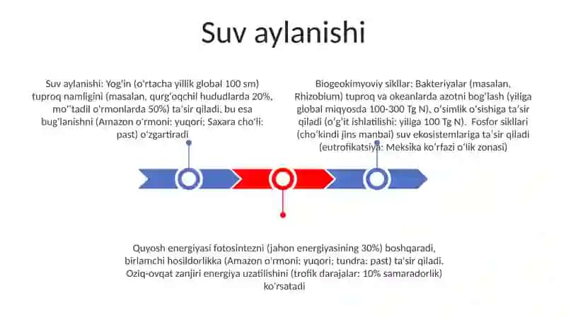 Landshaftlarning biokimyoviy aylanma harakati 3