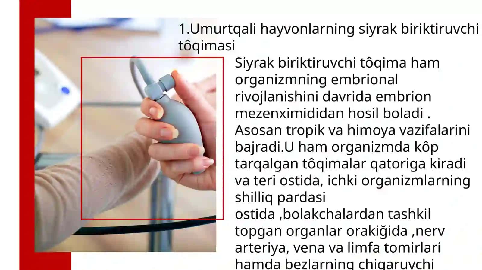 Umurtqali hayvonlarning siyrak biriktiruvchi tôqimasi 3