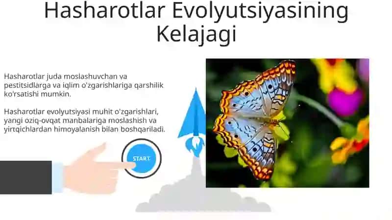 Hasharotlar evolyutsiyasi 3